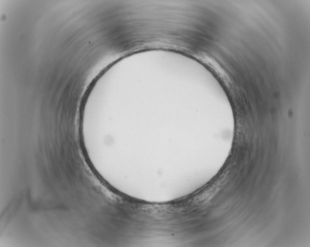 X0000088220902200706121827