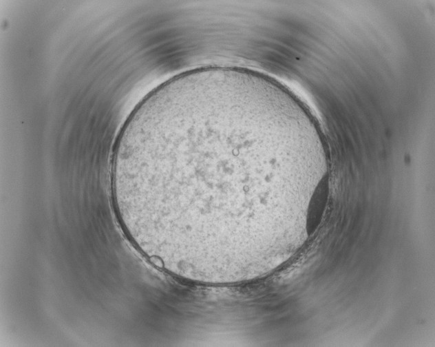 X0000088220903200706121827