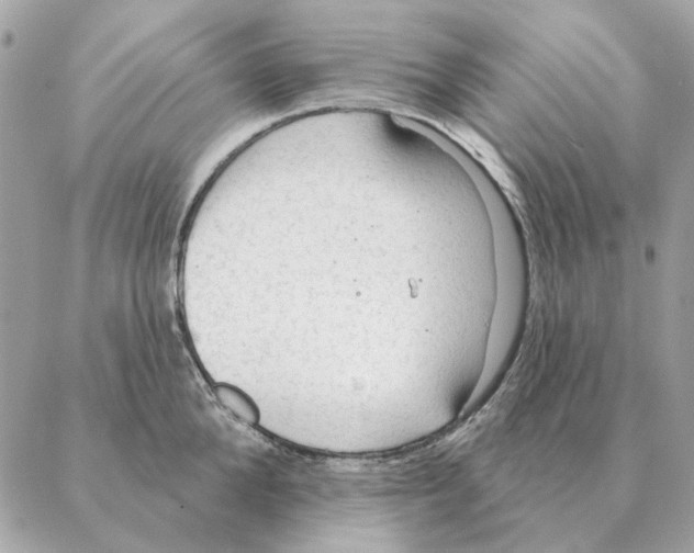 X0000088220904200706121827