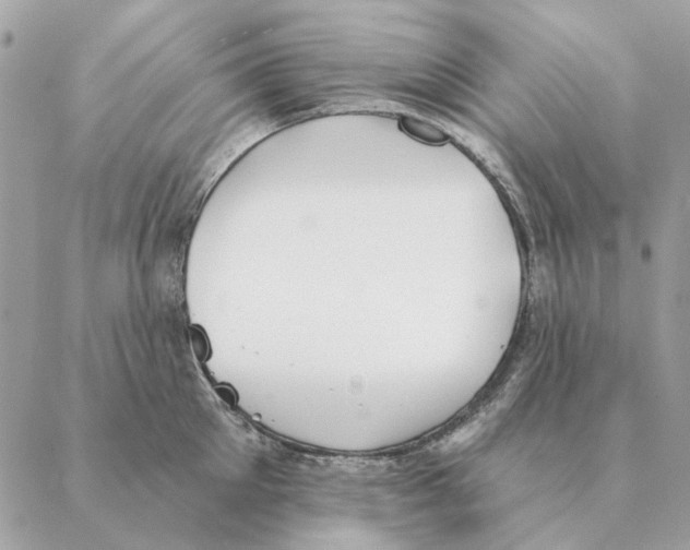 X0000088220905200706121827