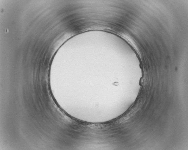 X0000088220906200706121827