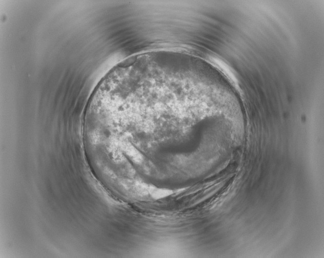 X0000088220907200706121827