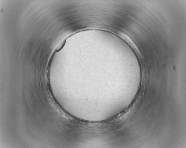 X0000088220908200706121827