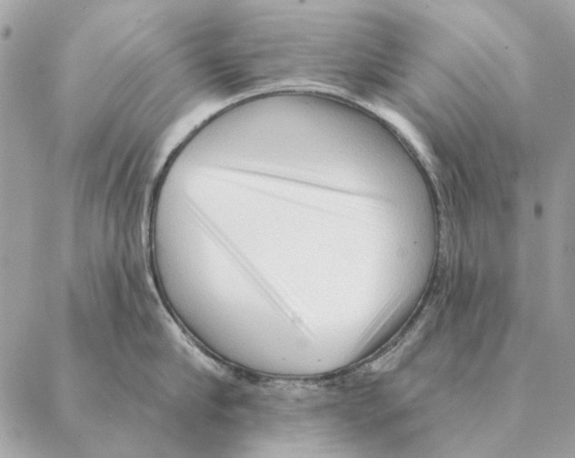 X0000088220910200706121827