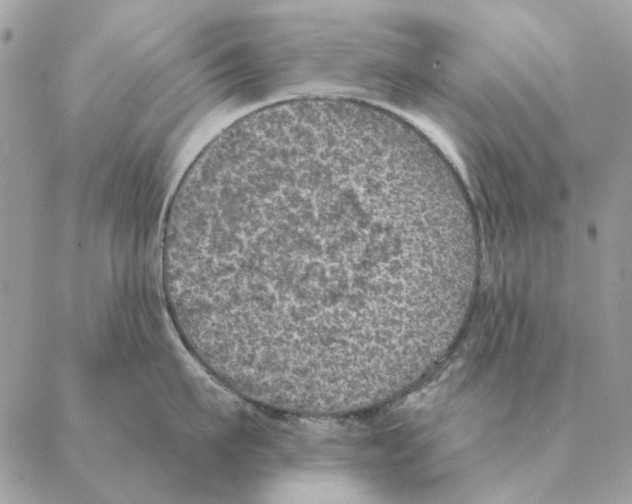 X0000088220911200706121827