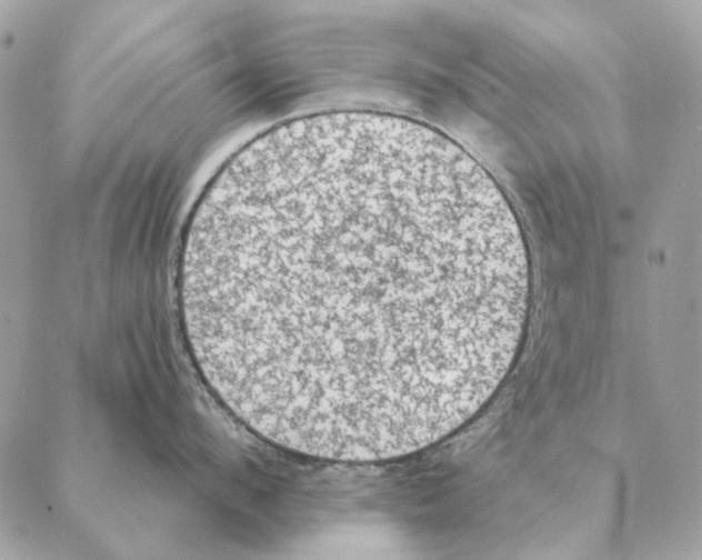 X0000088220912200706121827