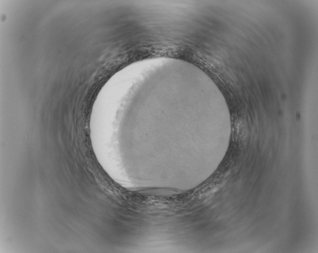 X0000088220913200706121826