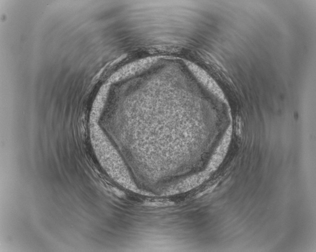 X0000088220915200706121826