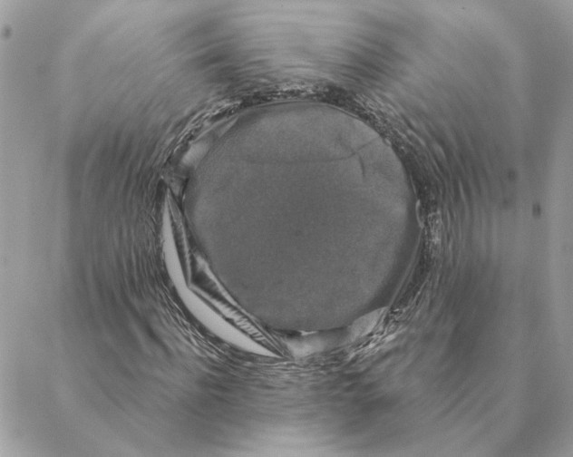 X0000088220916200706121826