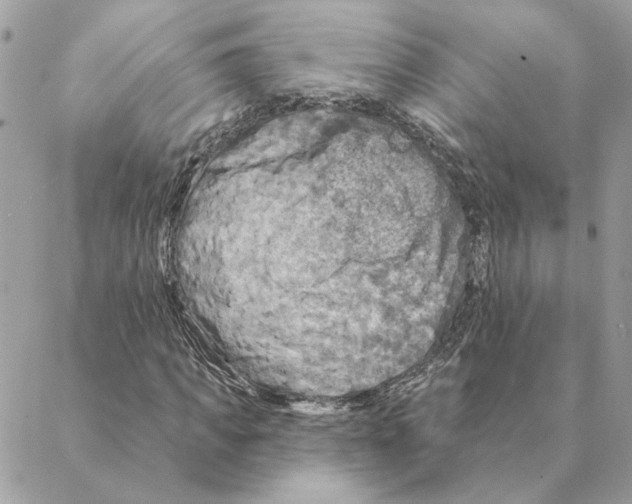 X0000088220917200706121826