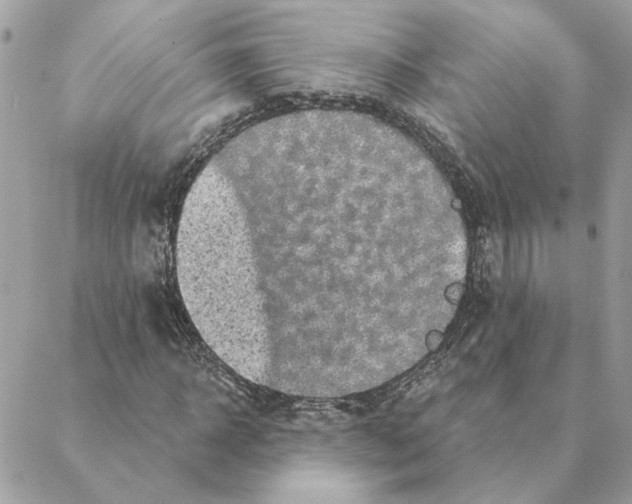 X0000088220918200706121826