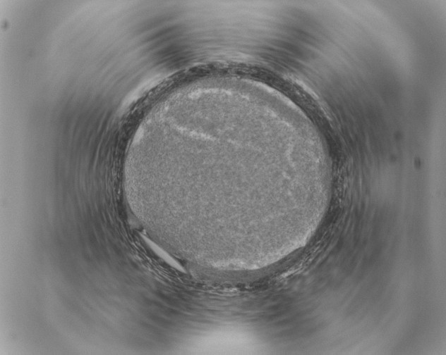 X0000088220919200706121826