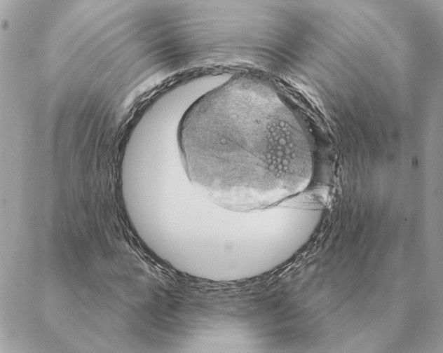 X0000088220920200706121826