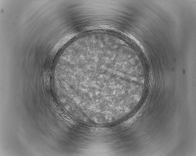 X0000088220921200706121826