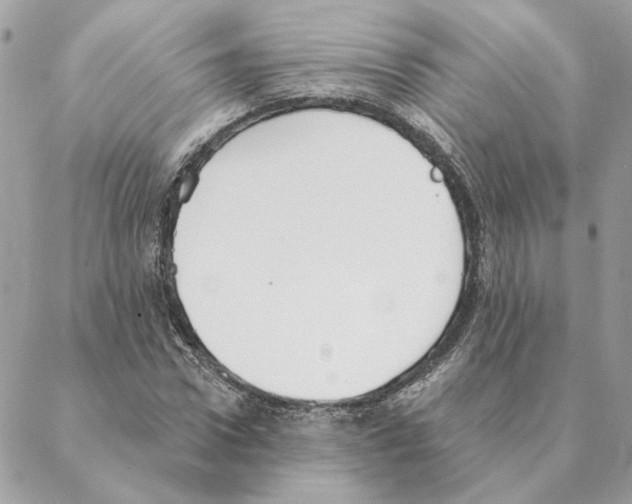 X0000088220922200706121826