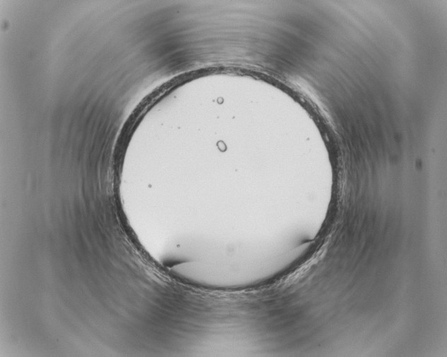 X0000088220924200706121826