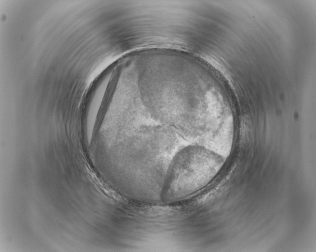 X0000088220925200706121826