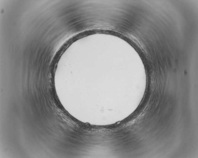 X0000088220926200706121826