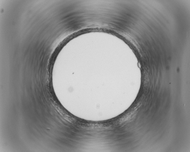 X0000088220927200706121826