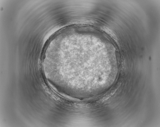 X0000088220928200706121826