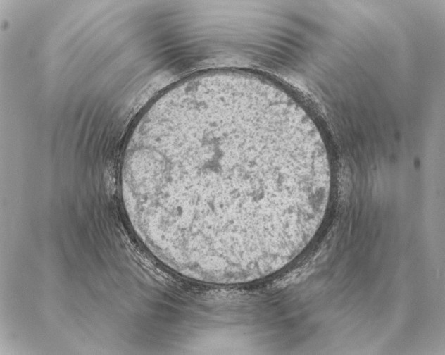 X0000088220929200706121826