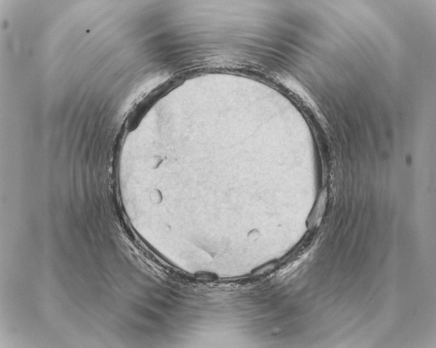 X0000088220930200706121826