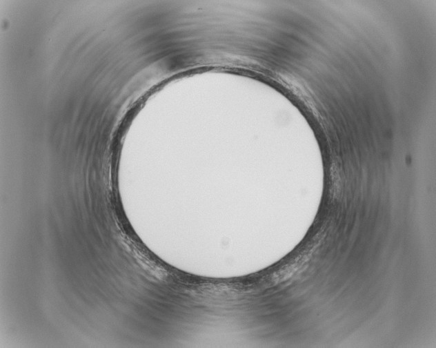 X0000088220931200706121826