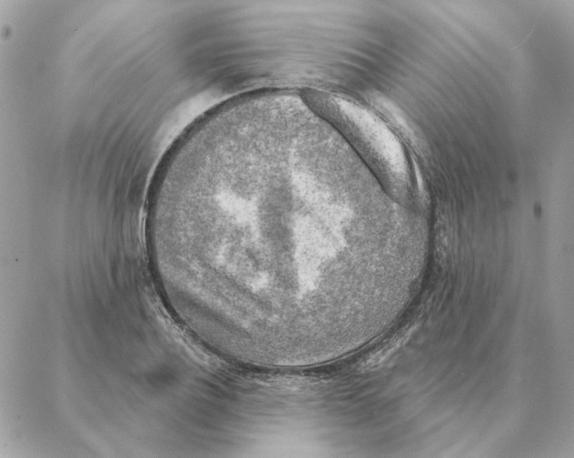 X0000088220932200706121826