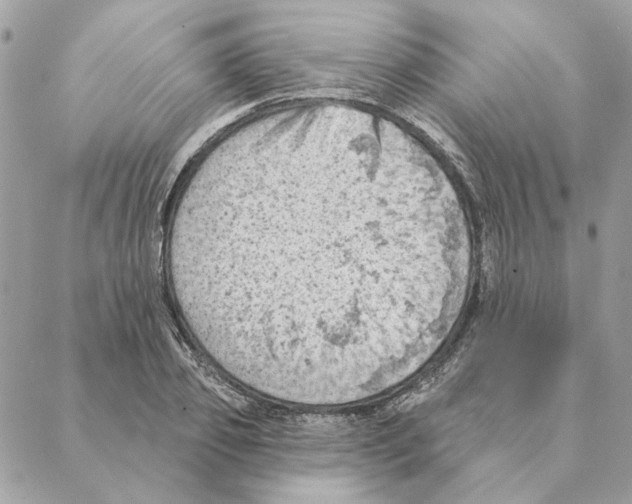 X0000088220933200706121826