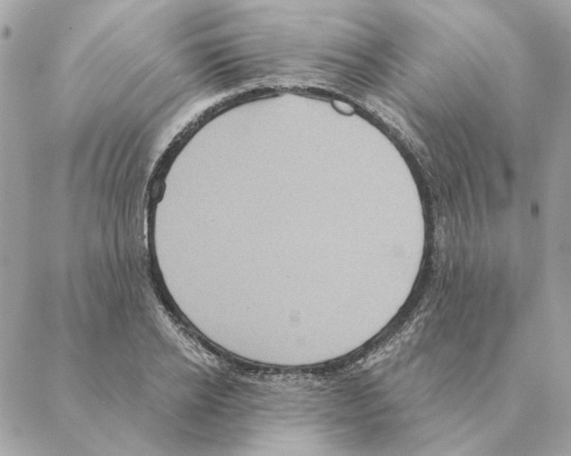 X0000088220934200706121826