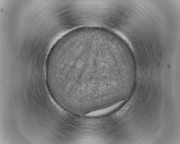 X0000088220935200706121826