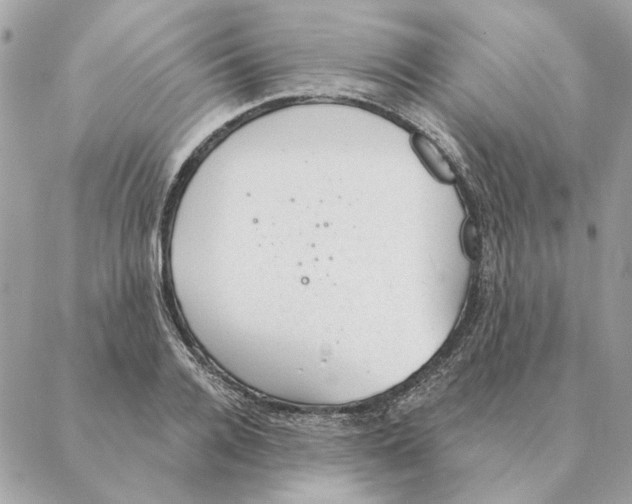 X0000088220936200706121826