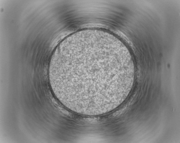 X0000088220937200706121826