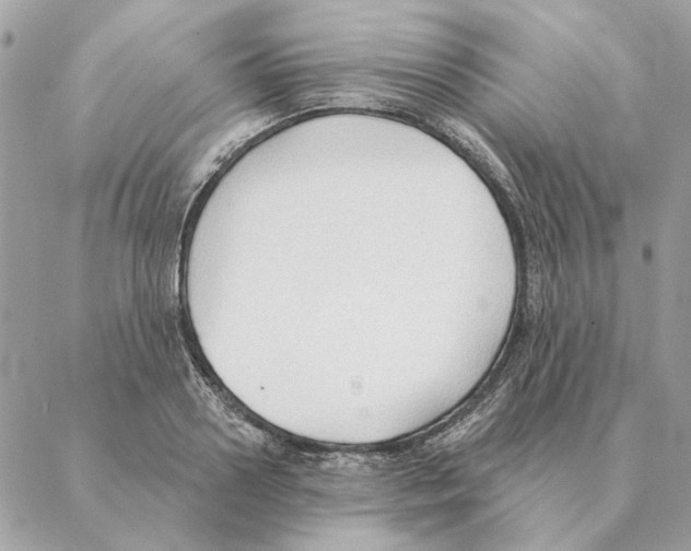 X0000088220938200706121826