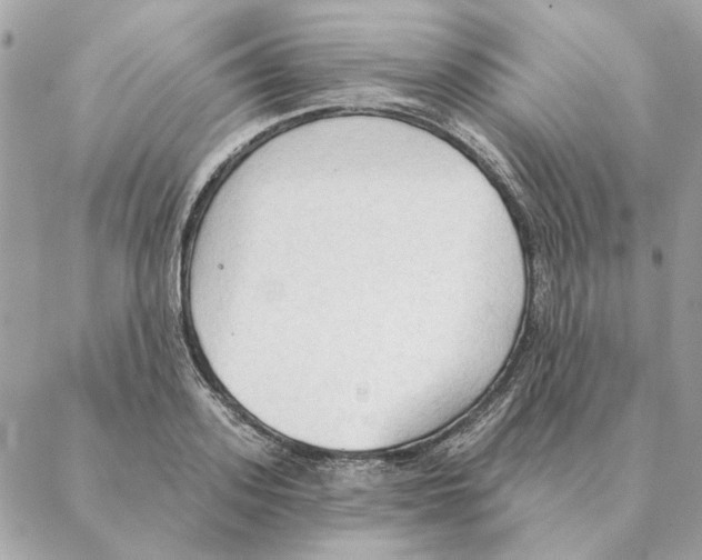 X0000088220939200706121827