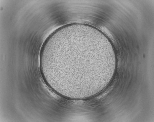 X0000088220940200706121827