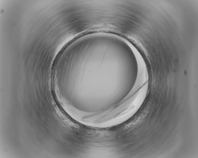 X0000088220941200706121827