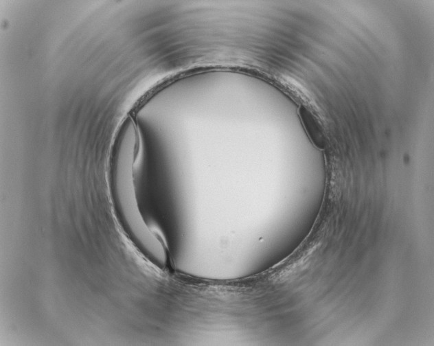 X0000088220942200706121827