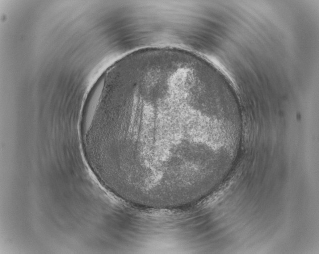 X0000088220943200706121827