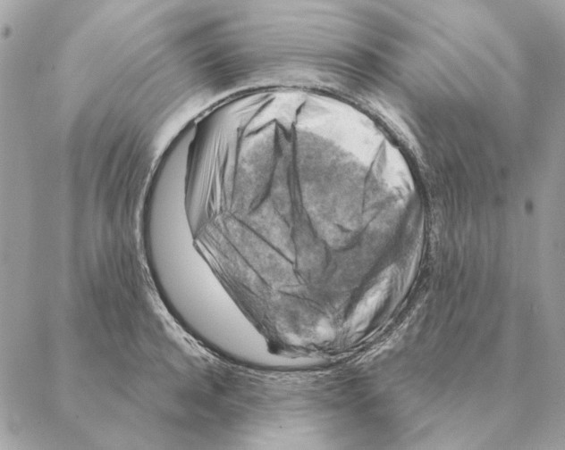 X0000088220944200706121827