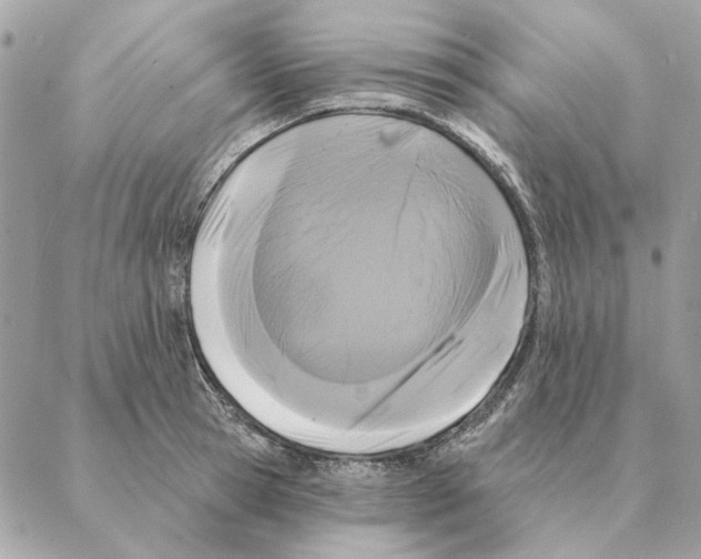 X0000088220945200706121827