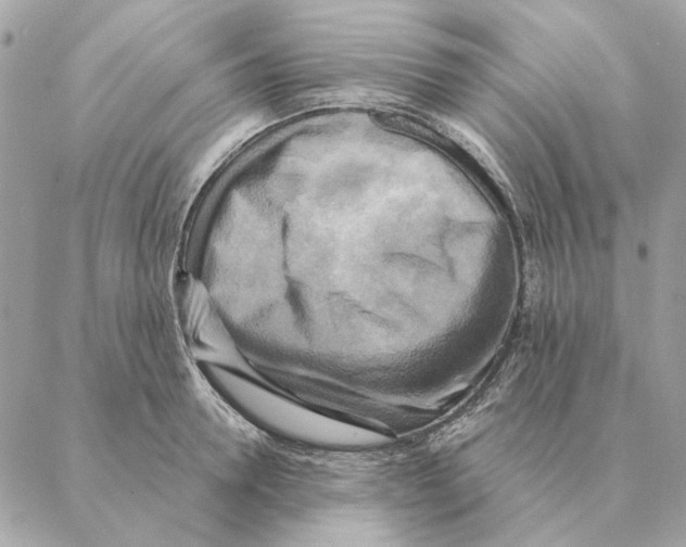 X0000088220946200706121827