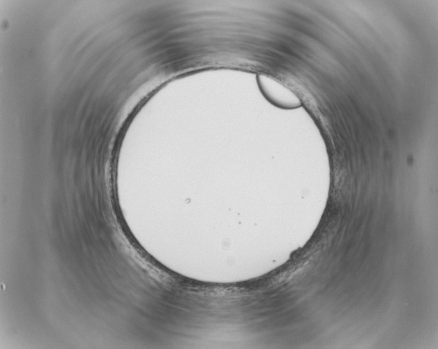 X0000088220947200706121827