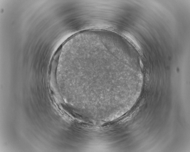 X0000088220948200706121827