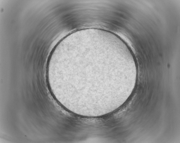 X0000088220949200706121827