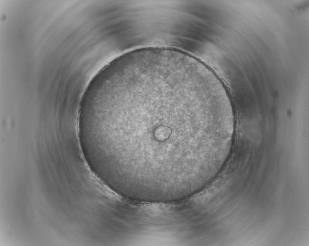 X0000088220950200706121827