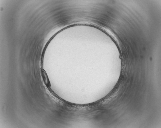 X0000088220951200706121827