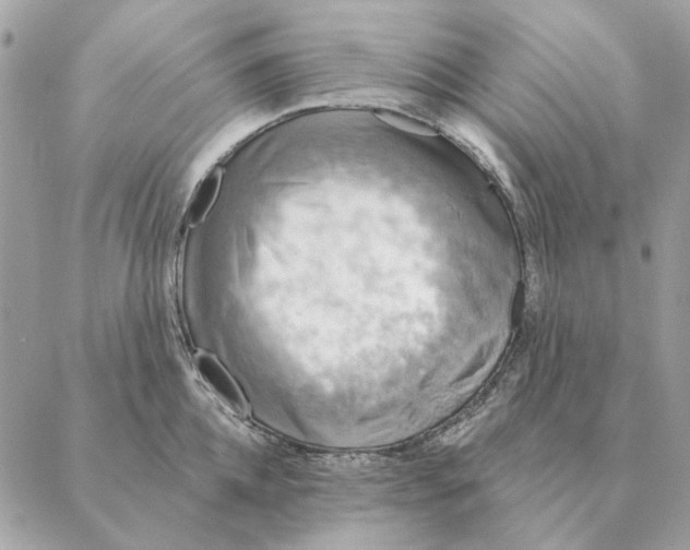 X0000088220952200706121827