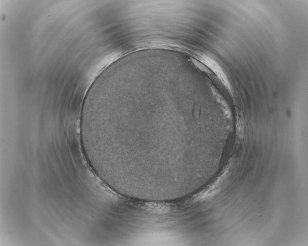 X0000088220954200706121827