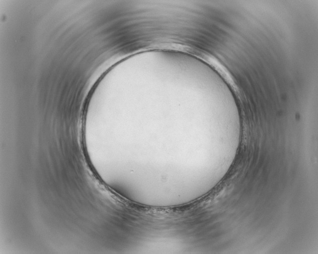 X0000088220955200706121827